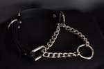 Biothane Martingale 1inch Long Chain Big Ring (Vegan Leather) Thumbnail # 224642