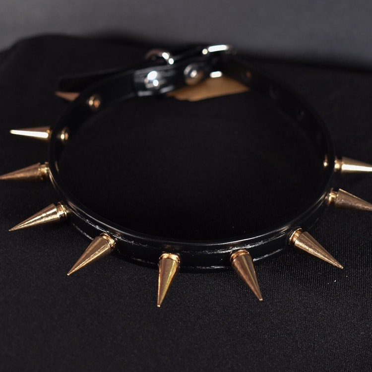 Biothane Golden Long Spiked Choker (Vegan Leather) photo