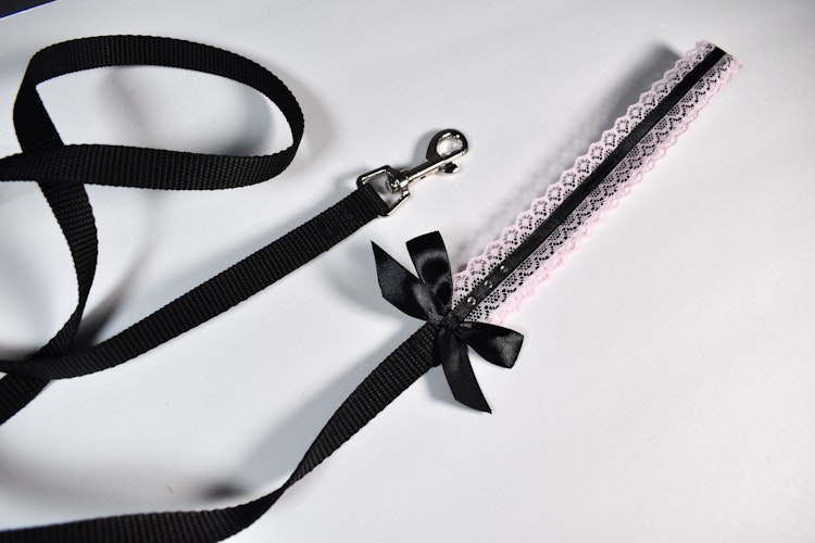 Pink and black Kitten play leash photo