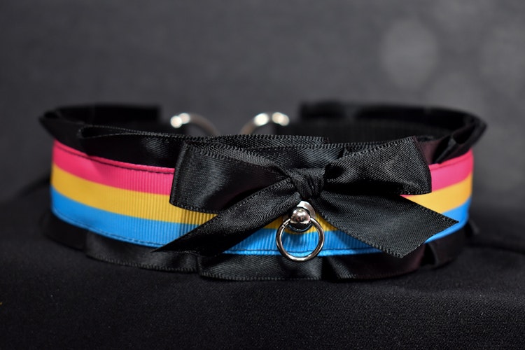 Pride Collection - Pansexual Choker photo