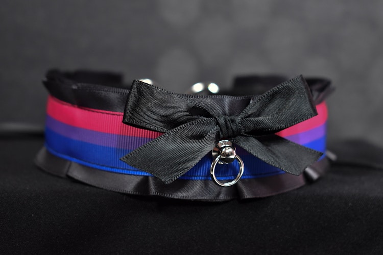 Pride Collection - Bisexual Choker photo