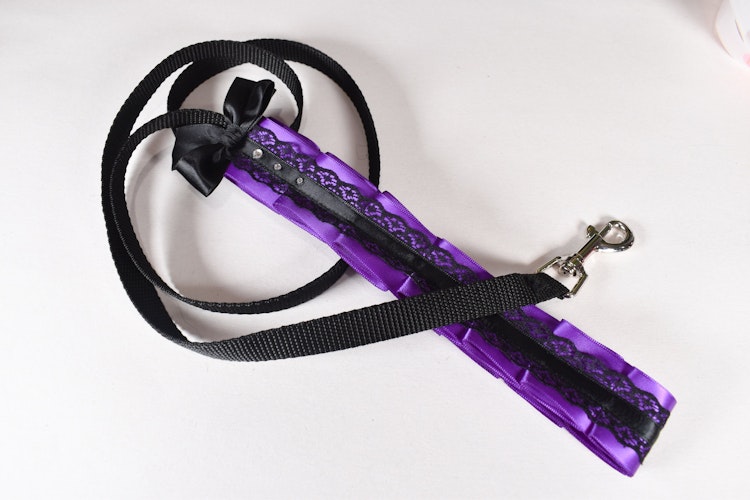 Purple Kitten play leash photo