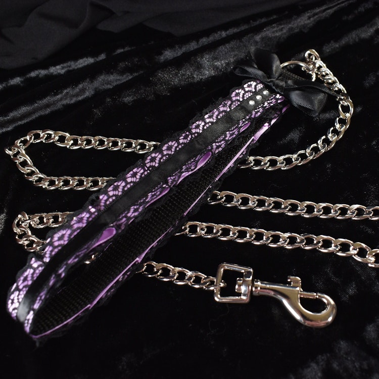 Purple chain Kitten play leash photo