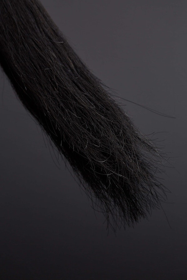 The Equi Horse Hair and Leather BDSM Flogger Image # 25555