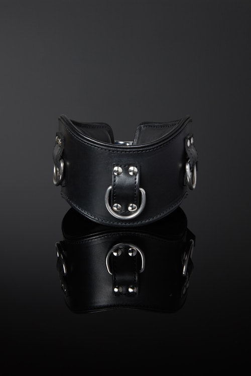 Servage Classic Leather Posture Collar - High photo