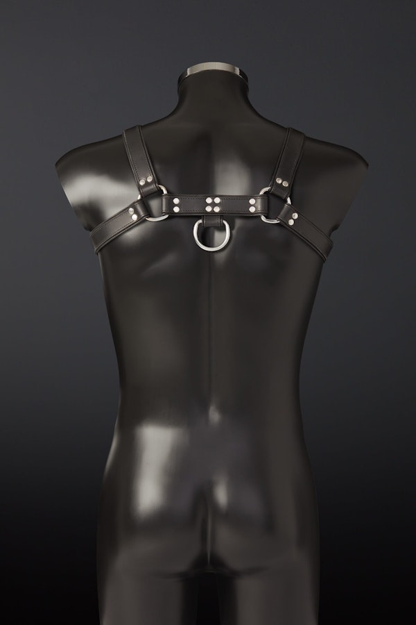Audax Leather Chest Harness - Black Image # 25343
