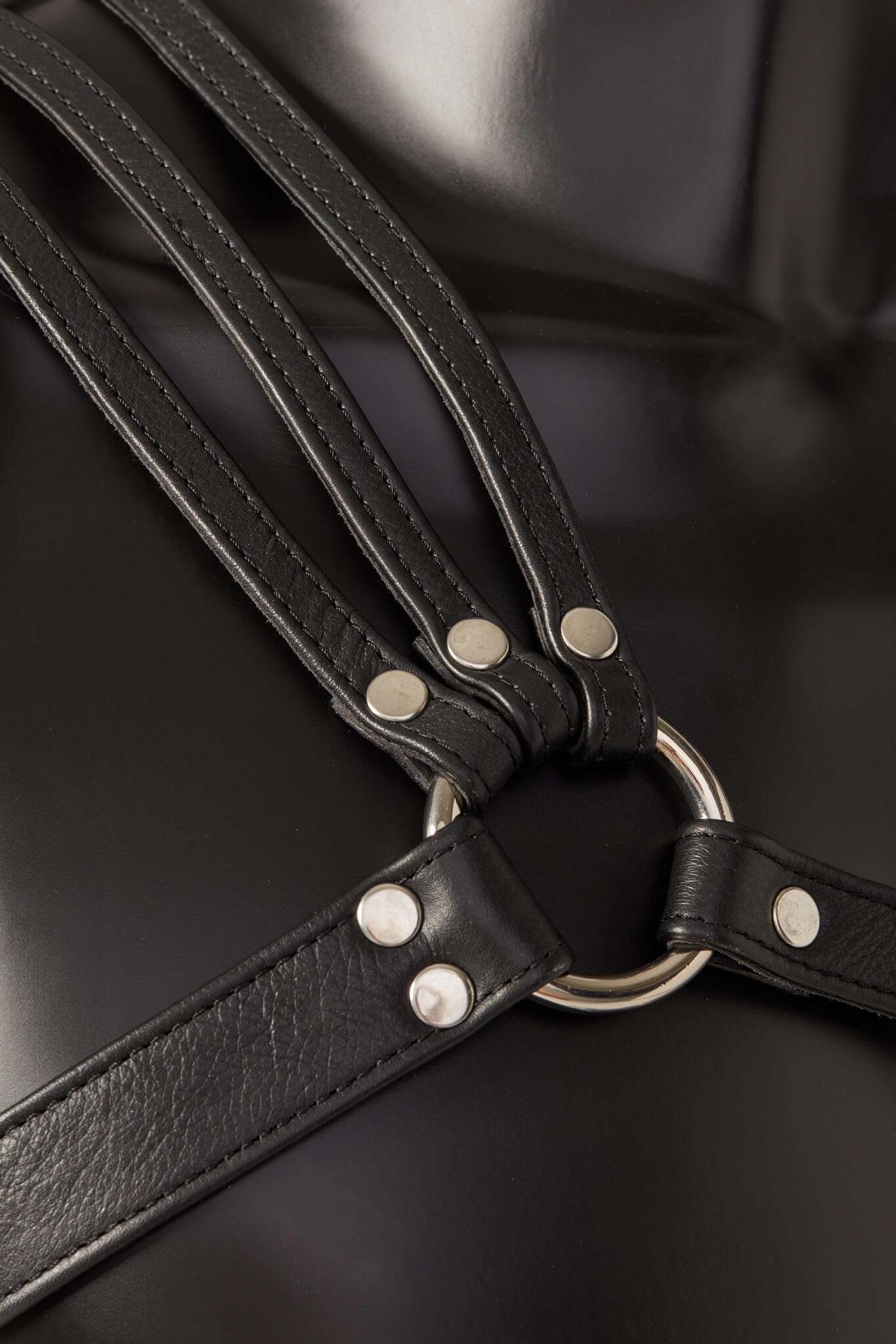 Spartanus Leather Harness photo