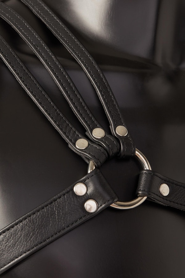 Spartanus Leather Harness Image # 25351