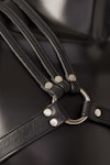 Spartanus Leather Harness Thumbnail # 25351