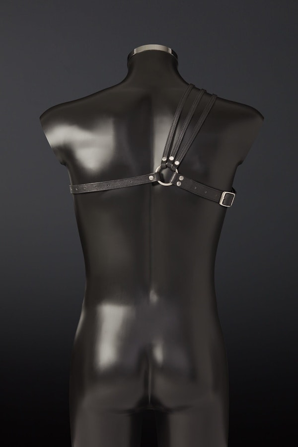 Spartanus Leather Harness Image # 25353