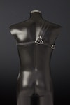 Spartanus Leather Harness Thumbnail # 25353