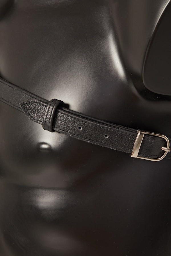 Spartanus Leather Harness Image # 25354