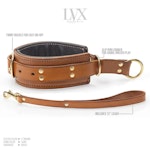 Padded Leather Choking Collar with Leash Thumbnail # 32242