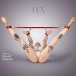 Premium 4Pt Spreader Bar Only | Use with BDSM Cuffs Restraints | Femdom Fetish Submissive DDlg  | BDSM-Gear by LVX Supply Thumbnail # 32569