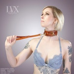 BDSM Leash & Lead | Leather Bondage Restraints | Pet Play DDlg Femdom Submissive Slave | LVX Supply Thumbnail # 32602