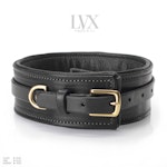 Padded Leather BDSM Collar | Leather Bondage Collar, DDLG Femdom Slave Pet Pony Play Fetish | BDsM-Gear for Women Submissive | LVX Supply Thumbnail # 33185