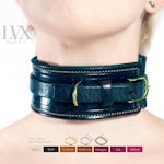 DDLG Collar Padded Leather CGL BDsM Collar for Bondage Submissive Femdom Slave Pet Pony Play | Age Play Collar by LVX Supply Thumbnail # 34831
