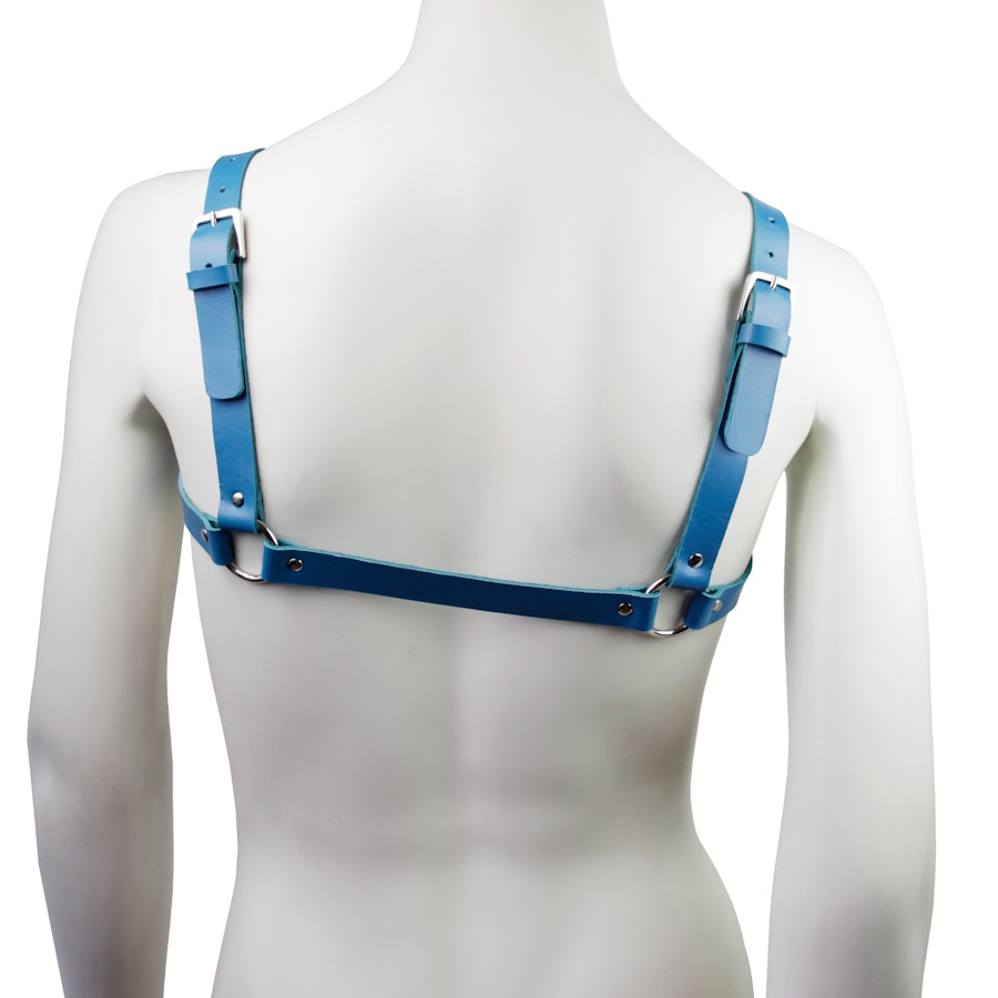 Leather Chest Harness Blue Image # 121936