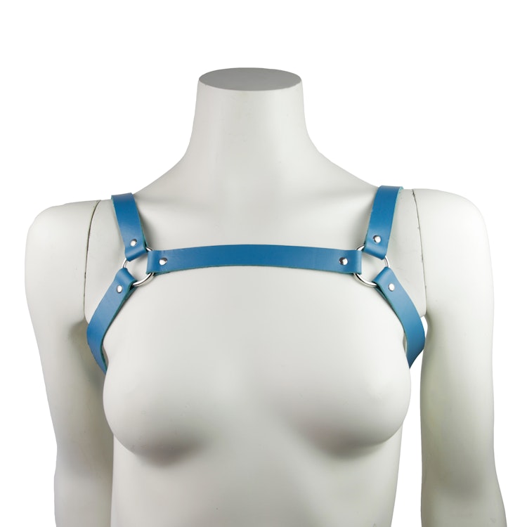 Leather Chest Harness Blue photo