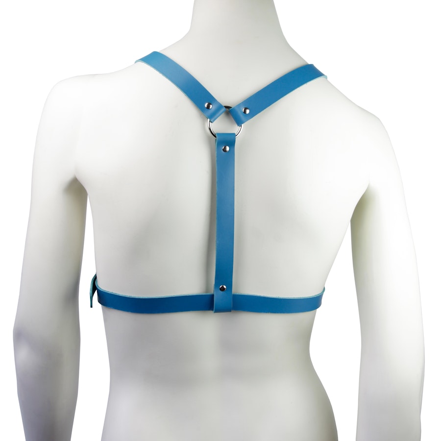 Leather Harness Blue Image # 121844