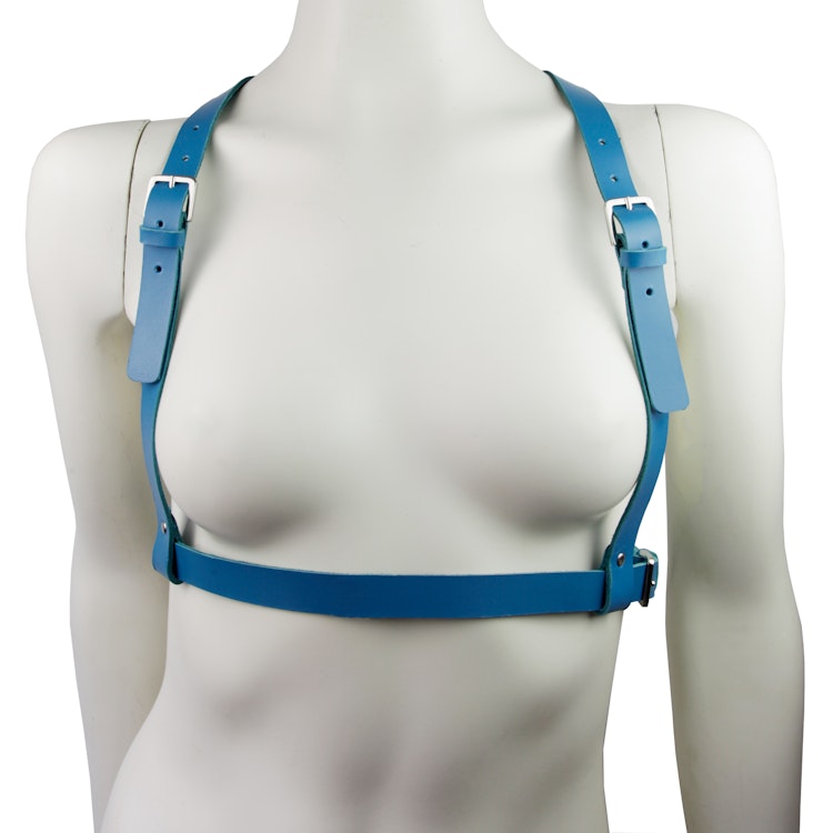 Leather Harness Blue photo