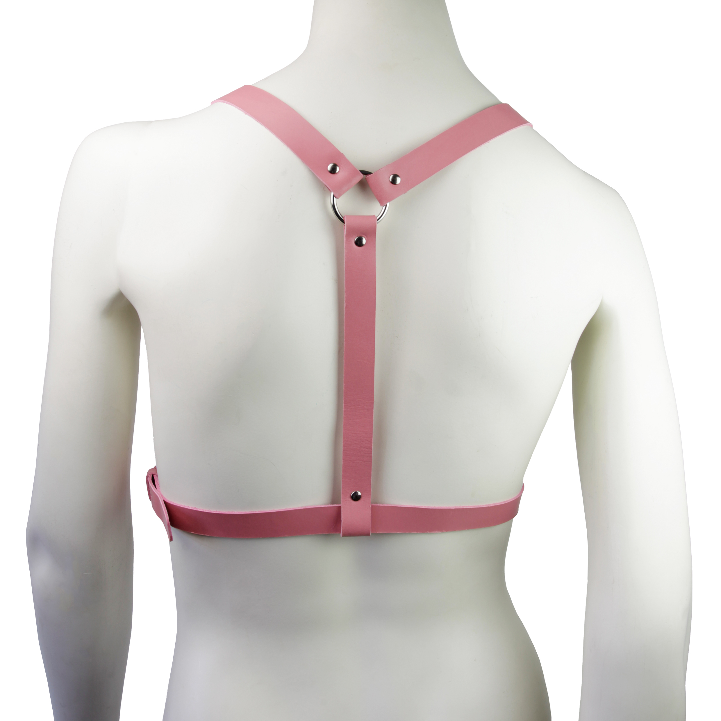 Leather Harness Pink photo