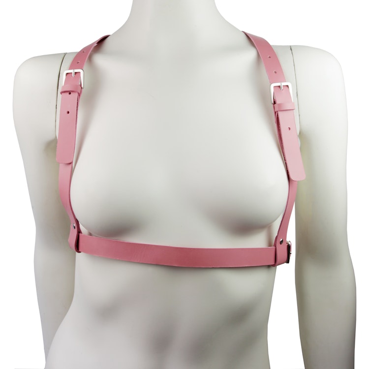 Leather Harness Pink photo