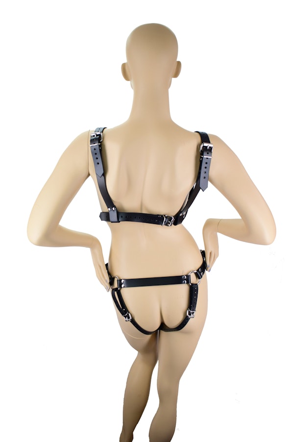 Female Full Body Harness Image # 122089