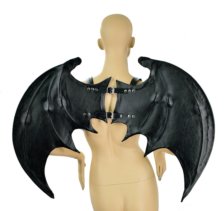 Leather Bat Wings photo