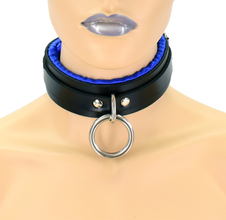 Locking Blue Satin Padded Collar photo