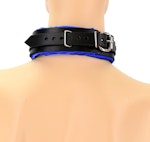 Blue Satin Lined Sub Collar Thumbnail # 122388