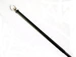 Poly Rod Black Spike Cane Thumbnail # 122248