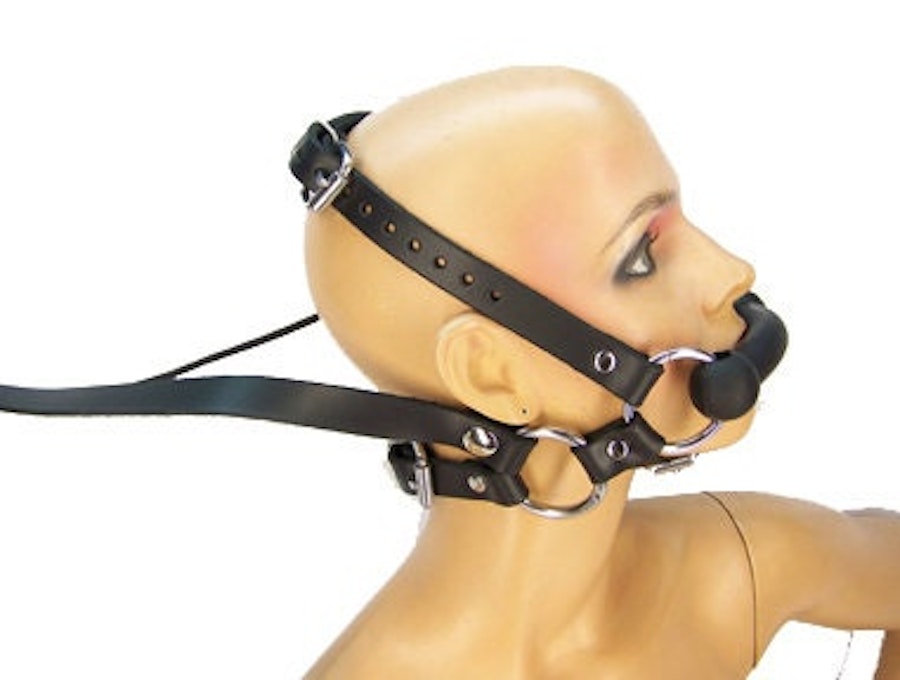 Pony Bridle Harness With Reins